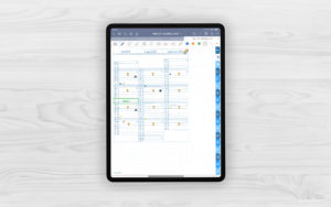 Produktbild (jpg) zeigt eine Seite der Quartalsuebersicht mit nebeneinander dargestellten Monaten des blauen Bullet Journal mit Register für GoodNotes beispielhaft ausgefuellt