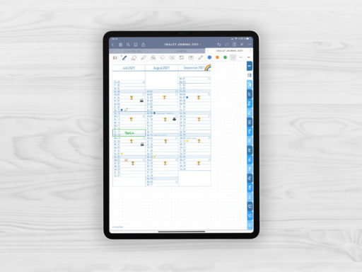 Produktbild (jpg) zeigt eine Seite der Quartalsuebersicht mit nebeneinander dargestellten Monaten des blauen Bullet Journal mit Register für GoodNotes beispielhaft ausgefuellt